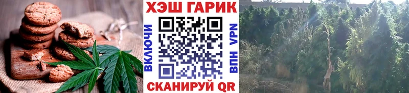 Печенье с ТГК конопля  закладка  KRAKEN маркетплейс  Миасс 